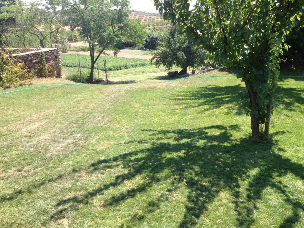 Quinta Da Pereira E Enricas Agro-Turismo Hotel Vila Flor Bagian luar foto