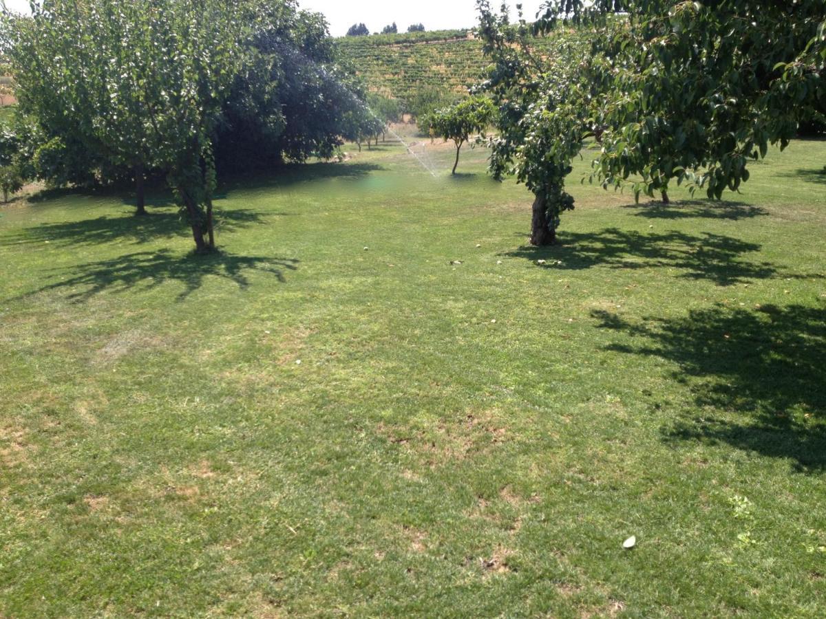 Quinta Da Pereira E Enricas Agro-Turismo Hotel Vila Flor Bagian luar foto