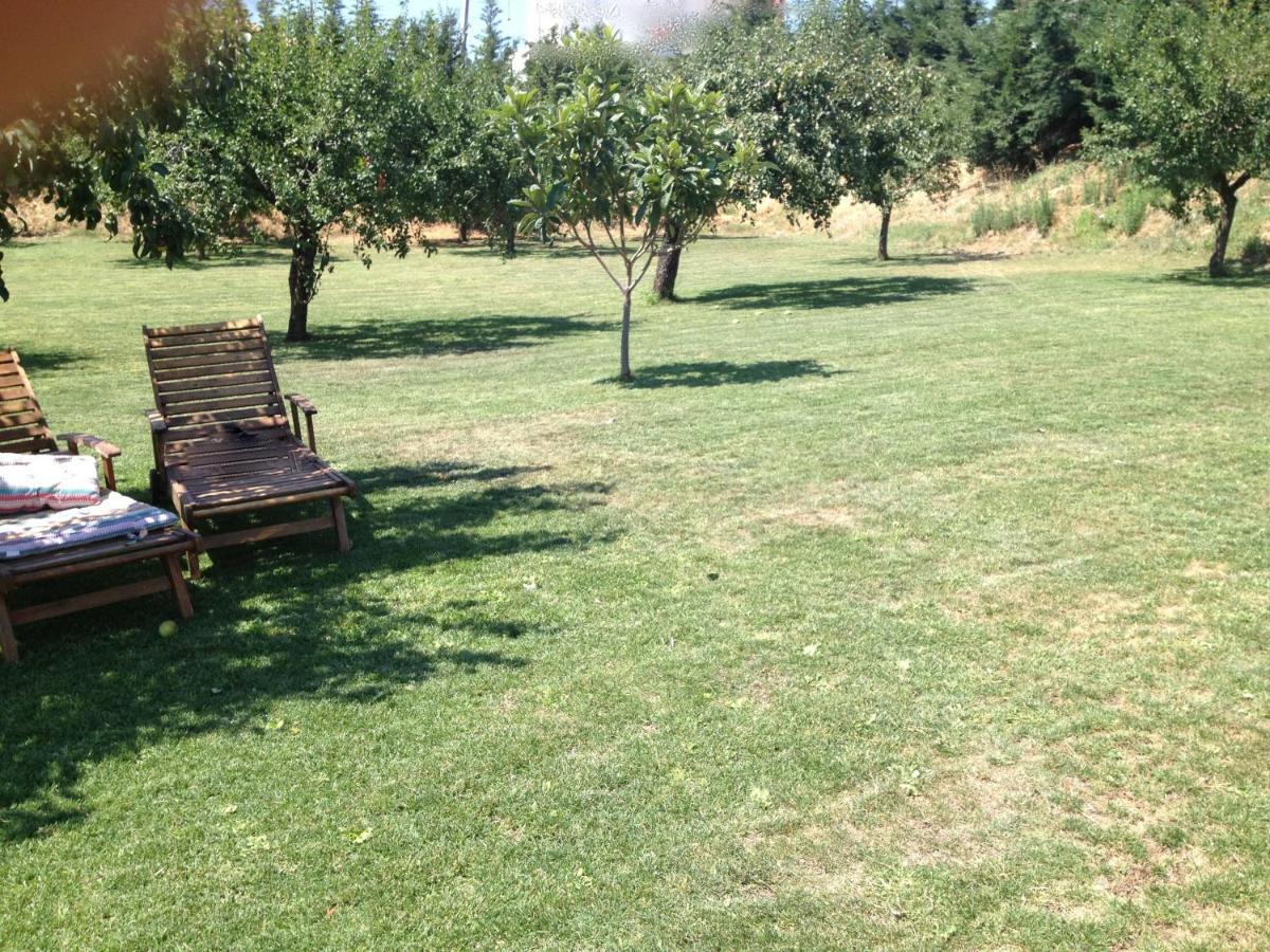 Quinta Da Pereira E Enricas Agro-Turismo Hotel Vila Flor Bagian luar foto